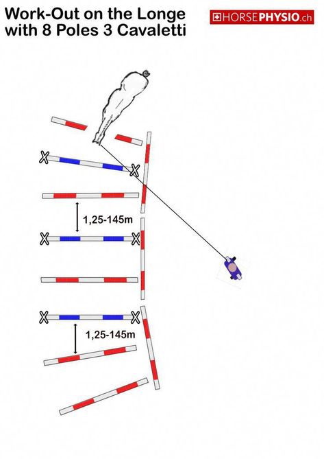 Pole Exercises, Horse Jumping Exercises, Jumping Exercises, Riding Exercises, Dressage Exercises, Horse Training Exercises, Horse Lessons, Dressage Training, Horse Exercises