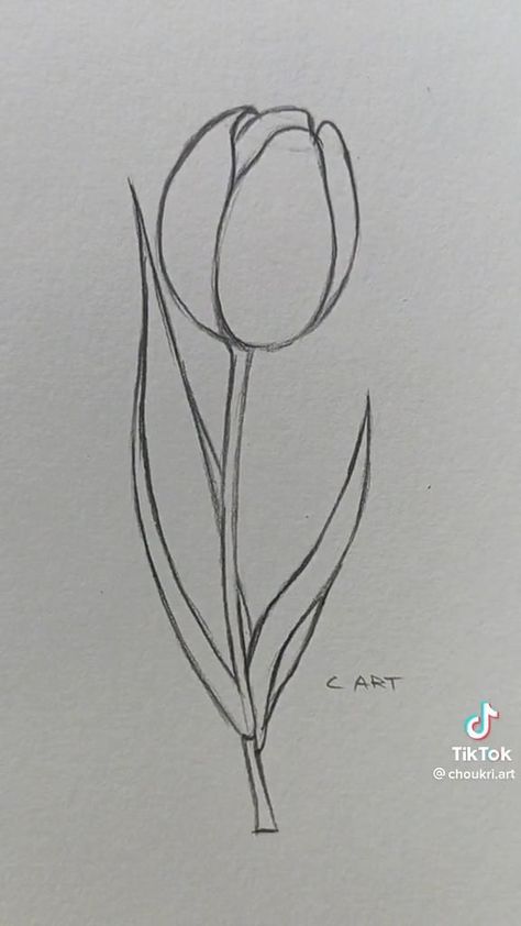 How To Draw Tulip Flower, Tulips Art Drawing, Tulip Sketch Simple, White Tulips Drawing, Tulip Drawing Pencil, Tulips Drawing Sketch, Tulip Drawing Easy, Tulips Flowers Drawing, Drawings Of Tulips