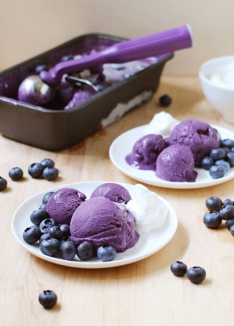 Blueberry Gelato // FoodNouveau.com Lactose Free Heavy Cream, Vegan Gelato, How To Make Gelato, Gelato Flavors, Italian Ice Cream, Gelato Recipe, Lactose Free Milk, Italian Ice, Summer Berries