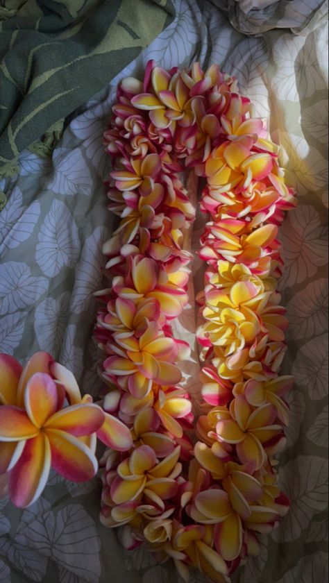 Hawaiian Culture Aesthetic, Pua Flower, Hawaiian Graduation, Lei Flower, Plumeria Lei, Hawaii Flowers, Flower Lei, Hawaiian Lei, Hawaiian Culture