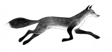 Fox Tattoo Black And White, In The Snow Pictures, Nugget Tattoo, White Foxes, Red Fox Tattoos, Olive Tattoo, Running Drawing, Running Illustration, Fox Running