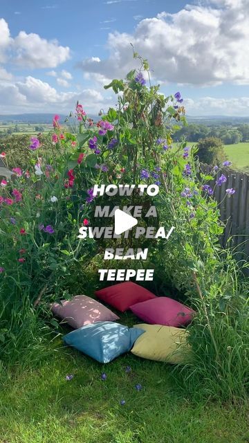 Sweet Pea Teepee For Kids, Sweet Pea Wigwam, Sweet Pea Tent, Plant Teepee, Sweet Pea Teepee, Sweetpea Teepee, Pea Teepee, Flower Teepee, How To Make Teepee