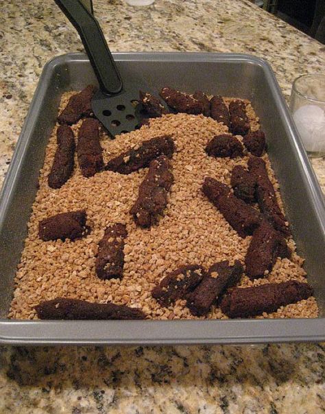 Gross Halloween Foods, Kitty Litter Cake, Recetas Halloween, Kitty Litter, Brownie Desserts, Halloween Goodies, Snacks Für Party, Halloween Snacks, Halloween Food For Party