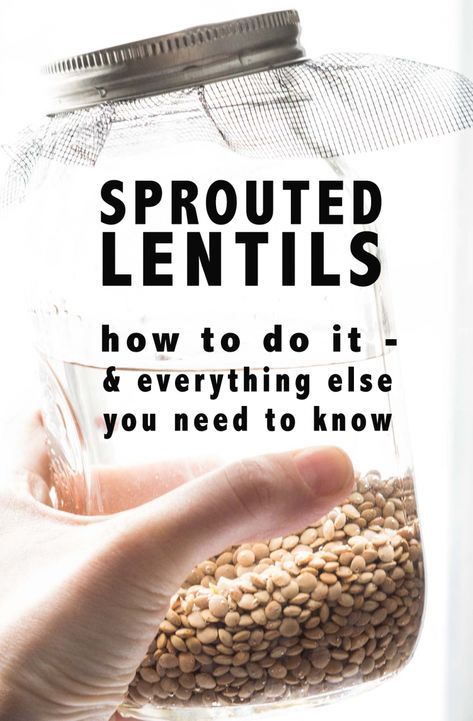 Sprouted lentils; how and why to do it! The tutorial is as easy as 1, 2, 3! Learn WHY sprouting makes lentils ever more nutritious! #lentils #sprouting #sprouts #howto #kitchenhack #DIY #nutrition #glutenfree #vegan #veganfood #dairyfree #vegetarian #veganrecipes #glutenfreerecipes #highprotein #plantbased #plantforward #mediterraneandiet #hearthealthy #antiinflammatorydiet How To Sprout Lentils, Sprouted Lentils, Microgreens Recipe, Vegan Bacon Bits, Curried Lentil Soup, Growing Sprouts, Clean Eating Grocery List, Sprouted Grains, Dried Lentils