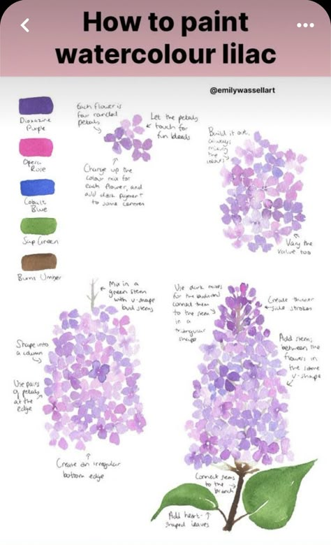 Flower Watercolour Tutorial, How To Draw Lilacs Step By Step, How To Paint Lilacs, Watercolor Lilacs Tutorial, How To Watercolour Paint, How To Paint Watercolour Flowers, Lilac Watercolor Paintings, Learning To Paint Beginners, Watercolour Beginner Ideas