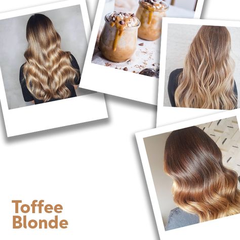 Toffee Blonde Hair, Toffee Blonde, Warm Golden Blonde Hair, Teddy Bear Blonde, Hair Formulas, Baby Blonde Hair, Haircolor Ideas, Sandy Blonde Hair, Golden Brown Hair Color