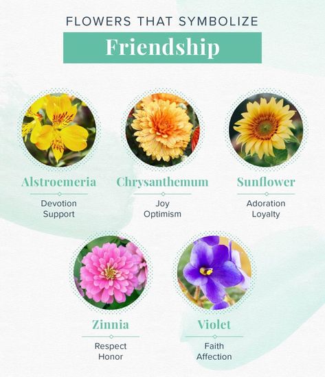 15 Flowers That Mean Love to Add to Your Bouquet | ProFlowers Friendship Flower, Friendship Articles, Small Wave Tattoo, Friendship Flowers, Friendship Images, Quotes Friends, Flower Meanings, Beautiful Bugs, Waves Tattoo