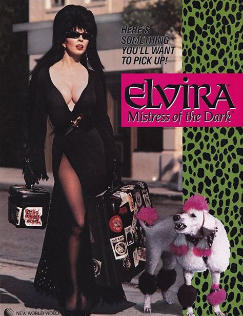 Elvira Movies, Icon Halloween, Cassandra Peterson, Elvira Mistress Of The Dark, Va Va Voom, Vintage Horror, Scary Movies, Halloween Outfits, Look Cool