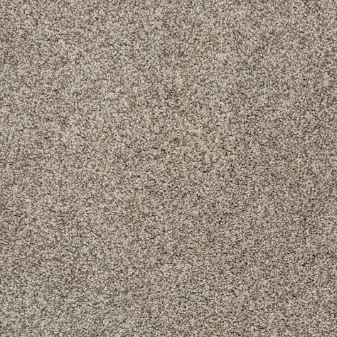 STAINMASTER (Sample) Comfort Walk II Cheroot Textured Indoor Carpet in the Carpet Samples department at Lowes.com Stainmaster Carpet, A Life Well Lived, Textured Carpet, Carpet Samples, Carpet Padding, Indoor Carpet, Commercial Carpet, Carpet Installation, Life Well Lived