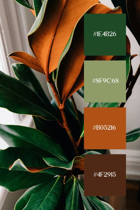 Army Green Color Palette Fashion, Colors With Sage Green Colour Palettes, Green And Cream Color Scheme, Rust Yellow Color Palette, Olive And Brown Color Palette, Teal Green Gold Color Palette, Frog And Toad Color Palette, Mint And Olive Green Color Palettes, Sage Green And Terracotta Color Palette