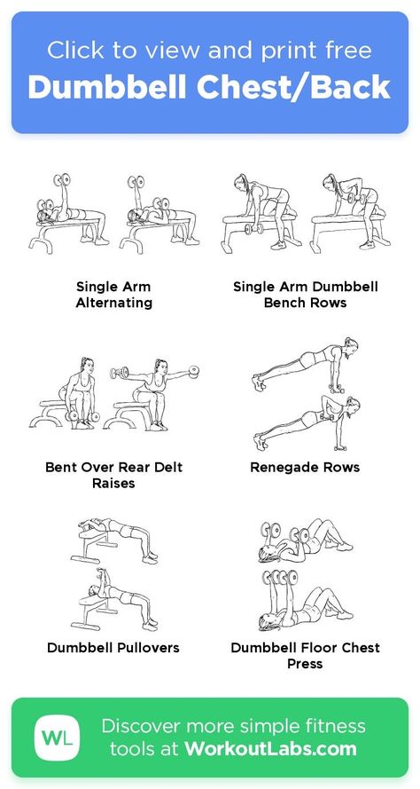 Chest And Back Dumbbell Workout, Back And Chest Workout Women, Chest And Back Workout Women, Back Workout Dumbell, Back Dumbbell Workout, Back And Chest Workout, Chest Back Workout, Upper Body Workout Gym, Dumbbell Back Workout