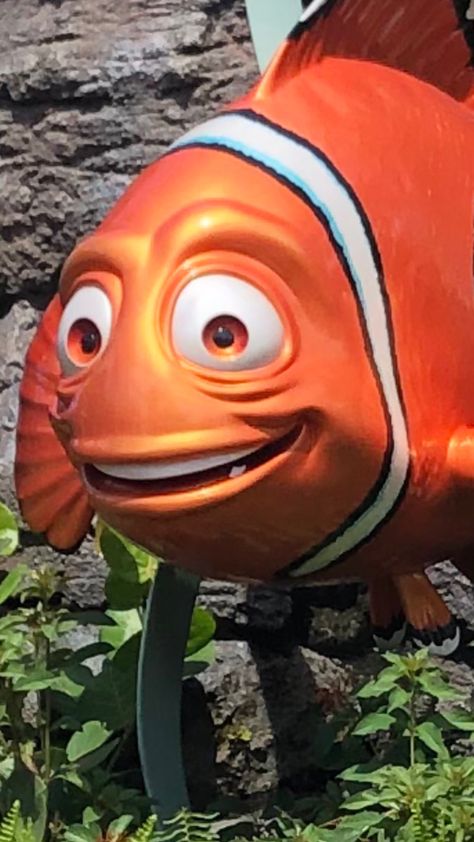 This is why he keeps on losing nemo Finding Nemo Meme, Nemo Funny, Marlin Finding Nemo, Finding Nemo, Disney Memes, Meme Faces, Just Girly Things, Funny Faces, Girly Things