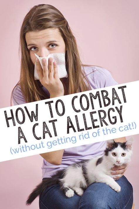 Cat Allergy Remedies, Cat Allergy, Cat Sneezing, Toxic Plants For Cats, Cat Hair Removal, Allergic To Cats, Living With Cats, Cat Allergies, Cat Seat