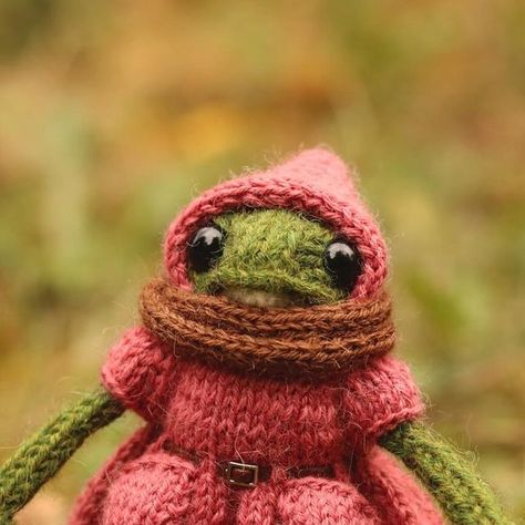 Nadi 🧶 Knits on Instagram Crochet Frog Clothes, Knitted Frog Pattern, Knitted Frog, Crochet Frog In Sweater, Frogging In Knitting, Pink Frog Crochet, Frog Wallpaper, Spring Knits, Fairy Garden Crafts