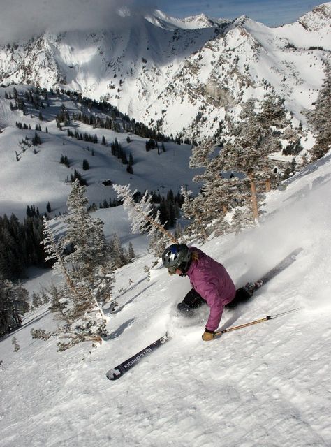 Utah Activities, Ski Inspiration, Alta Utah, Alta Ski, Utah Ski, Utah Skiing, Ski Bums, Snowboarding Trip, Best Ski Resorts