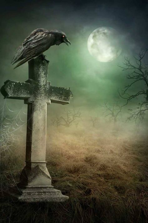 Decoding Dead Crow Meaning: What Does It Truly Mean? Crow Symbolism, Halloween Backrounds, Crow Meaning, Grave Art, Crow Pictures, Nightmares Art, Antique World Map, Raven Skull, Sea Wall Art