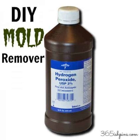 Diy Mold Remover, Mold In Bathroom, Garden Plans, Homemade Cleaning Products, Household Cleaning Tips, Diy Cleaners, Cleaning Recipes, Mold Remover, Cleaners Homemade