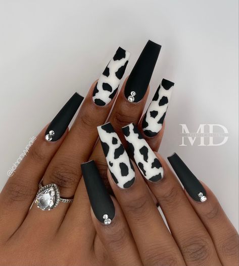 Black nails, cow print nails, acrylic nails, long arylics nails Cow Print Acrylic Nails, Trending Winter Nails, Country Nail Designs, Fashion 2023 Winter, Winter Nails Christmas, Cowboy Nails, Classy Nail Art Ideas, Black And White Nails, Animal Print Nails Art