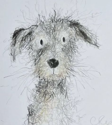 Scruffy Dog Drawing, Catherine Rayner, Drawn Animals, Scruffy Dogs, Doodle Dogs, Animal Sketch, Funny Old People, Scribble Art, Dog Pics