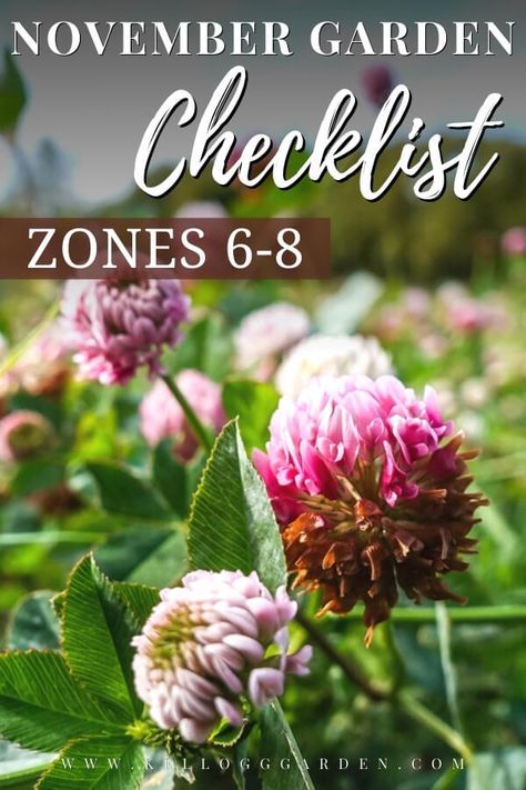 November Garden Checklist Zones 6-8 Gardening Schedule Calendar Zone 7, Zone 7b Gardening, Zone 7b Planting Schedule, Gardening Checklist, Growing Calendar, Garden Checklist, Growing Herbs Indoors, Garden Prepping, Fall Gardening