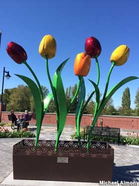 Mt. Vernon, WA - Giant Tulips, on the river walk this sculpture "Tulip Dance" honors the Skagit Valley Tulip Festival (Michael Almony,4/23/15) Skagit Valley Tulip Festival, Skagit Valley, Mt Vernon, Tulip Festival, Tourist Trap, Giant Flowers, Roadside Attractions, Mount Vernon, River Walk