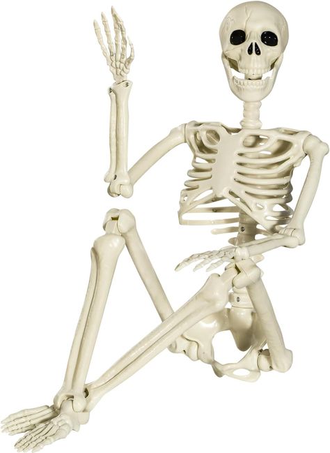 XONOR Halloween Skeleton Full Body Posable Joints Skeletons, 3ft Human Skeleton Decorations for Halloween Party Haunted House Supplies (1pc) Life Size Skeleton, Posable Skeleton, Haunted House Halloween Party, Skeleton Body, Halloween Skeleton Decorations, Skeleton Model, Plastic Skeleton, Ghost Diy, Haunted House Props