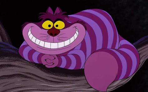 Cheshire Cat Cartoon, Cat Cartoon, Cheshire Cat, Oh My, Alice In Wonderland, Disney, Yellow, Purple