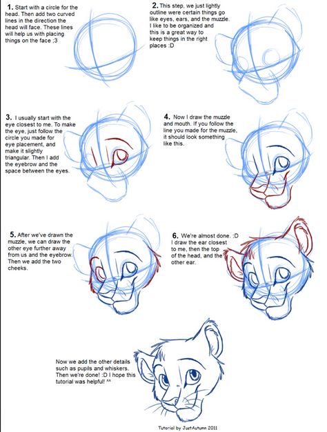 How to draw lion king lions | google search Lion Anatomy, King Drawing, Month Challenge, Lion King Drawings, Lion Drawing, Drawing Animals, Lion King Art, 강아지 그림, Art Album