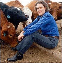 Have you done things because you *should* even though you didn’t *want* to? How did it go? Temple Grandin Movie, Thinking In Pictures, Temple Grandin, Meat Industry, Colorado State University, Animal Science, Interesting People, Animal Behavior, Inspirational People