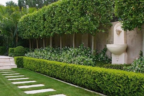 Layered Hedge, Hedges Landscaping, Layered Landscape, Boxwood Landscaping, Formal Garden Design, City Gardens, Enchanted Gardens, Garden Hedges, Walkway Design