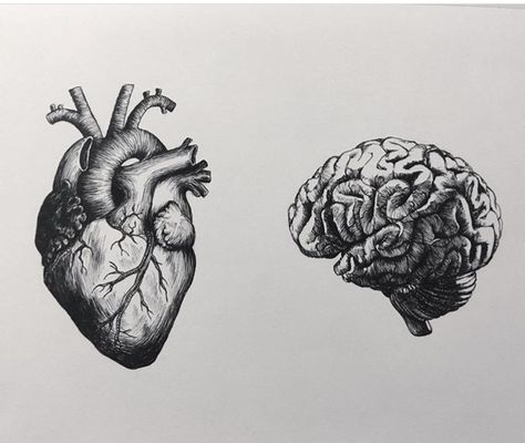 Scale With Heart And Brain Tattoo, Brain Heart Illustration, Brain Sketch Art, Human Brain Tattoo, Brain Heart Drawing, Brain And Heart Tattoo Design, Brain Vs Heart Tattoo, Heart And Brain Drawing, Anatomical Brain Tattoo