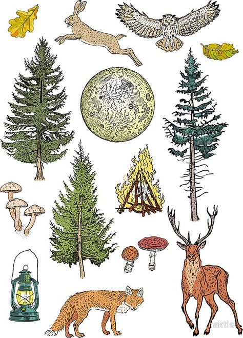 Forest adventure pattern Forest Stickers Printable, Bujo Forest Theme, Nature Stickers Aesthetic, Tree Stickers Printable, Druid Journal, Diario Aesthetic, Forest Stickers, Forest Collage, Forest Elements