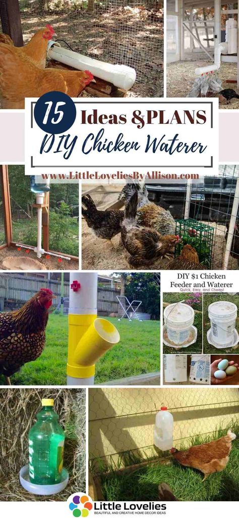 14 DIY Chicken Waterer And Feeders Ideas You Can Make Easily Easy Diy Chicken Feeder, Homemade Chicken Waterer, Diy Chicken Waterer, Pvc Chicken Waterer, Homemade Chicken Feeder, Chicken Watering System, Farm Life Aesthetic, Chickens Breeds, Pet Chickens Breeds