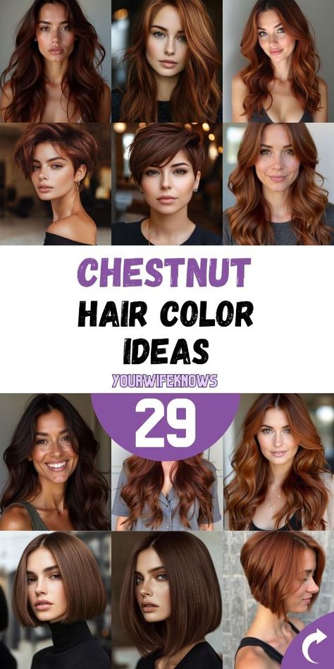 Explore 29 gorgeous chestnut hair color ideas for 2024Whether you’re looking for chestnut on dark brown hair or want to try chestnut hair color with highlightsthis collection has options for everyoneChestnut brown suits a variety of skin tones from dark to lightand it looks stunning on black women and those with brown skinAdd warmth to your hair with golden or caramel highlightsor opt for a richdark chestnut shade that works perfectly in any season. Rich Hazelnut Hair Color, Red In Light Brown Hair, Dark Brown Reddish Hair Color, Mahogany Chestnut Hair Color, Red Chestnut Brown Hair, Dark Brown Auburn Hair Color, Hair Color For Dark Brown Hair, Light Chestnut Hair Color, Golden Chestnut Brown Hair