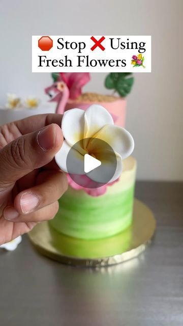 Sangeeta Ghosh | Baking Academy on Instagram: "🛑 Stop ✋ Using Fresh Flowers 💐   When you can make such adorable flowers in no time and minimum efforts 💪😎  ❤️ Save and Share ❤️  ✅Follow @sangeetas_cooking_mantra for more such tutorials   Products used @bakersvilleindia   #baking #2tiercake #cake #plumeria #edibleflowers #homebaking #homebaker #gumpasteflowers  [cake reels, baking, home baker, baking course, baking classes, cake, edible flowers, plumeria, Gumpaste Flower]" Gumpaste Cake Decorations, Cake Edible Flowers, Cake Reels, Flowers Plumeria, Fondant Figurine, Sugar Flowers Cake, Fondant Flower Cake, Cake Decorating Courses, Cake Branding