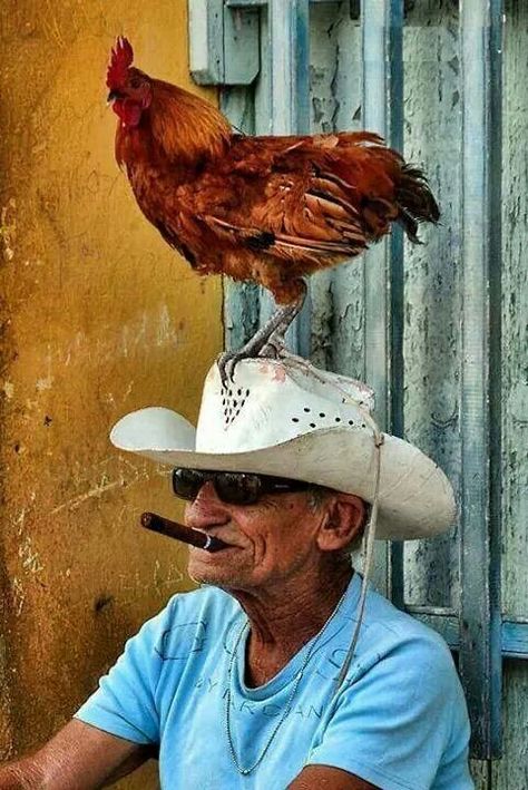 Jamie Johnson, Photographie Portrait Inspiration, Human Reference, Havana Cuba, Human Poses Reference, Human Poses, Human Race, Body Reference, A Chicken