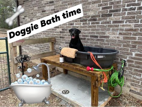 Dog Bath Station, Outdoor Dog Bath, Dog Washing Station Outdoor, Dog Bathing Station, Diy Dog Wash, Dog Tub, Dog Backyard, Dog Bathing, Deck Railing Ideas