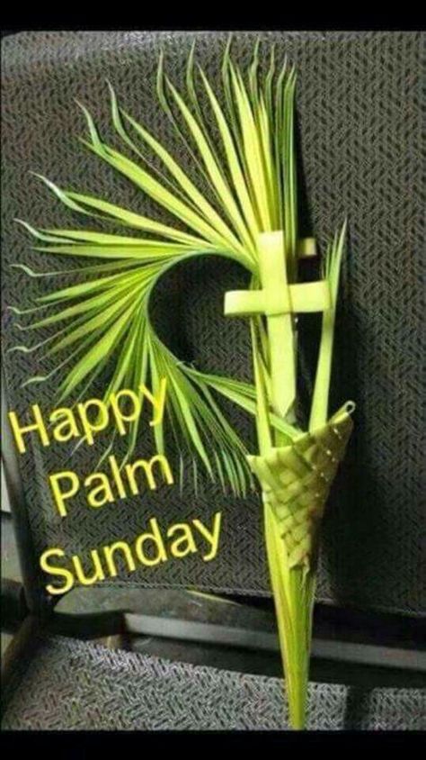 Happy Palm Sunday Images, Palm Sunday Images, Palm Sunday Quotes, Palm Sunday Decorations, Happy Palm Sunday, Palm Cross, Palm Sunday Crafts, Sunday Pictures, Church Altar Decorations