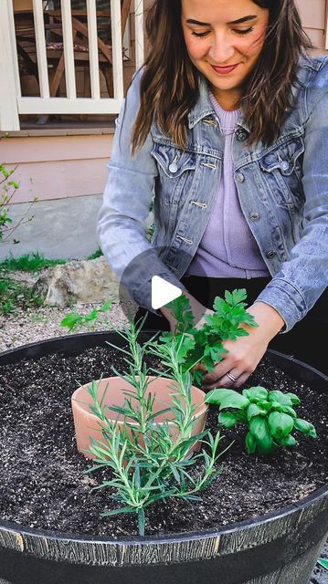 Terra Cotta Garden Ideas, Garden With Pots Ideas, Potted Herbs Outdoor, Herbs In Terra Cotta Pots, Planter Gift Ideas, Herbs Pots Ideas, Herbs Planter Ideas, Tomato In Pots, Herb Pot Ideas