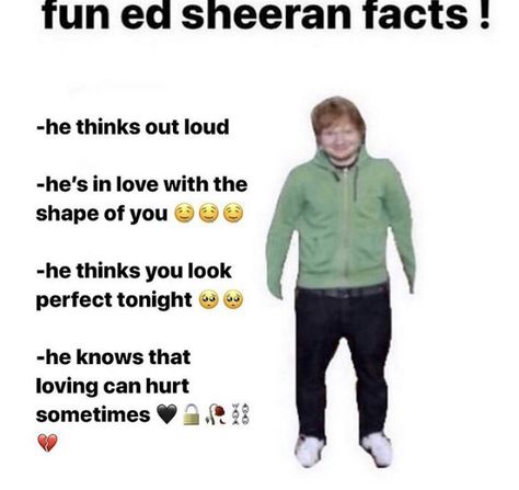 Mac Truck, Loving Can Hurt Sometimes, Hair Is Falling Out, Ed Sheeran Memes, Ed Sheeran Facts, Losing Faith In Humanity, Relatable Post Funny, Big Mac, Very Funny Pictures