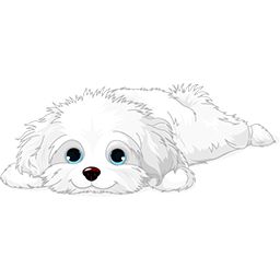 This high-quality Resting Puppy Maltese emoticon will look stunning when you use it in your email or forum. Inkscape Tutorials, Havanese Dogs, 강아지 그림, White Puppies, Maltese Dogs, Watercolor Dog, Dog Drawing, Animal Coloring Pages, Doodle Drawings