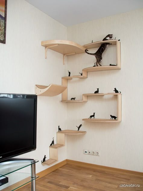 #Cat #shelf #furniture #animalinterior #animalfurniture #livingroom #interior Regal Furniture, Animal Furniture, Katt Diy, Cat Climbing Wall, Katt Grejer, Chat Diy, Cat Wall Shelves, Diy Cat Tree, Cat Wall Furniture