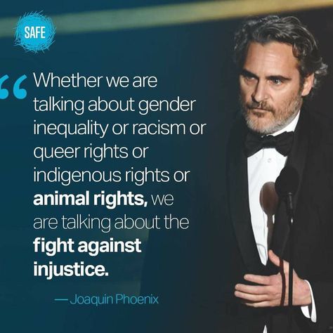 SAFEnewzealand on Instagram: “👇Tell us 👇 Which is your favourite Joaquin Phoenix quote and why?” Phoenix Quote, Phoenix Quotes, Vegan Memes, Actor Quotes, Gender Inequality, Luck Quotes, Good Luck Quotes, Joaquin Phoenix, Hollywood Actor