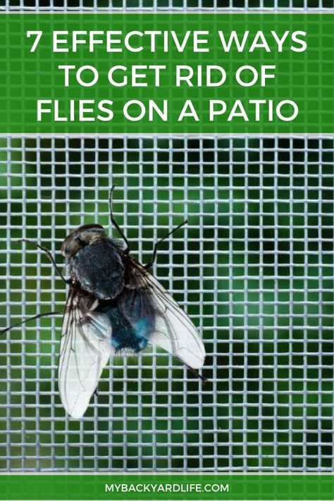 It's a little hard to enjoy your patio time when you have flies buzzing around you and getting in your food. To get rid of flies from your patio, use any of these 7 effective methods. #backyardtips #patio #flies #insects Fly Catcher Diy Outdoor, Natural Ways To Get Rid Of Flies, How To Keep Flies Off Food Outside, Keep Flys Off Porch, How To Repel Flies Outdoors, How To Get Rid Of Flies In Backyard, Repel Flies Outdoors, Homemade Fly Repellent, How To Deter Flies Outside