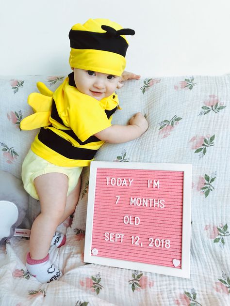 7th month baby, letterboard, bumblebee 10 Month Baby Letterboard, Five Months Old Letter Board, 8 Month Baby Photoshoot September, 4 Months Letter Board Baby, Baby 3 Months Qoutes, 7th Month, 7 Month Baby, Monthly Baby Pictures, 7 Months