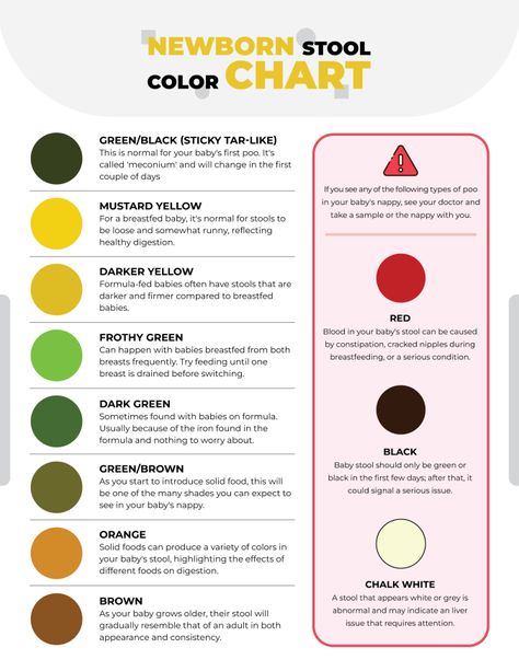 A Newborn Stool Color Chart template helps parents track their baby’s stool colors to spot potential health concerns early.  Designed by @wordlayouts Newborn Stool Chart, Baby Cheat Sheets, Helpful Newborn Charts, Newborn Charts Printable, Newborn Guidelines, Helpful Baby Charts, Newborn Cheat Sheet, Newborn Charts, Newborn Feeding Chart