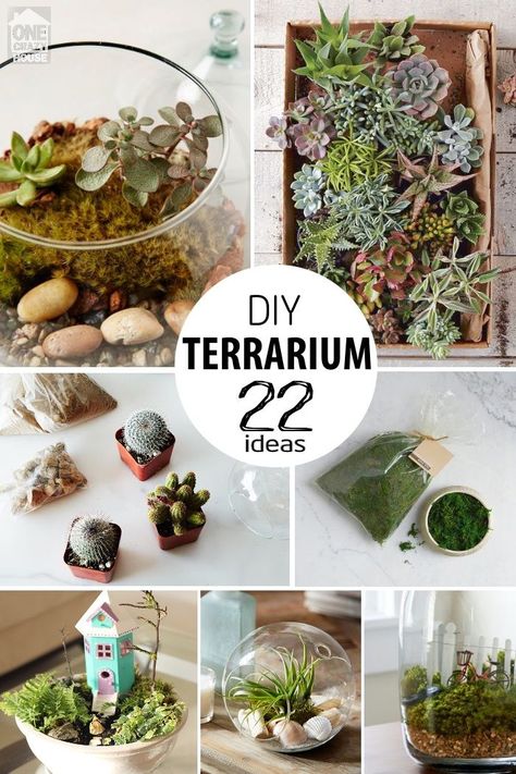 Bring nature inside with your very own ecosystem! These 22 Ways To Make a Terrarium will help you along the way! Diy Terrarium Fake Plants, Ideas For Terrariums, Orchid Terrarium Diy How To Make, Faux Terrarium Ideas, Terrarium Container Ideas, How To Make A Terrarium In A Jar, Jar Terrarium Diy, Small Terrarium Ideas, Crystal Terrarium Diy