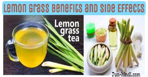 Hello friends, in today's article we are going to tell you about the benefits and side effects of lemon grass. Many of us are not even aware of how beneficial it is for us. Many medicinal properties are found in lemon grass, which is very beneficial for our health. Let us know what is lemon grass and what are its benefits. Lemon Grass Benefits and Side Effects What is Lemon Grass? Lemon Grass Benefits, Lemon Grass Tea Benefits, Lemon Grass Tea, Lemongrass Tea, Lemon Benefits, Tea Benefits, Lemon Grass, Side Effects, To Tell