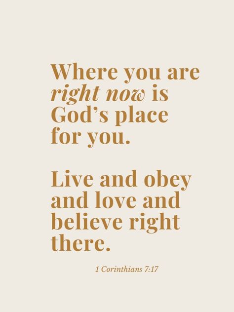 Have you ever felt abandoned in a season of life? Maybe you're longing for a spouse but feel stuck in a season of singleness. Maybe you feel called to entrepreneurship but feel trapped in you day job. Maybe you are begging God for revival in your city but you feel like no progress is seen. The truth we find in 1 Corinthians 7:17 is "Where you are right now is God's place for you. Live and obey and love and believe right there." Breath Prayers, Season Of Singleness, Bible Verse Journal, Living Journal, Christian Journals, Journal Christian, Now Quotes, Bible Resources, Season Of Life