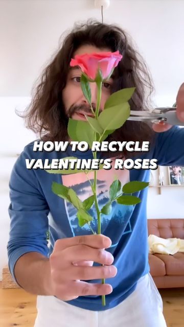 Armen Adamjan on Instagram: "Do this with the roses you get for Valentine’s Day! 🥀🤩 Regrow them and give them to someone new next year 😅 . . . #roses #valentine #valentinesday #recycle #plants #plantsofinstagram #lifehack #hacks #diy #upcycle #howto #plantstagram #creativeexplained #cookinghacks #organicgardening #instadaily #tiktokstar" Regrow Roses From Stem, Propagating Roses, Broken Rose, Roses Valentine, Dozen Roses, Valentines Roses, Diy Roses, Rose Stem, One Rose